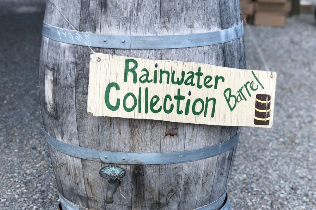 rainwater harvesting