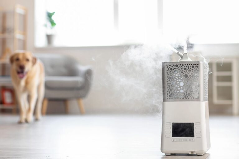 The Benefits of Using Distilled Water in Your Humidifier