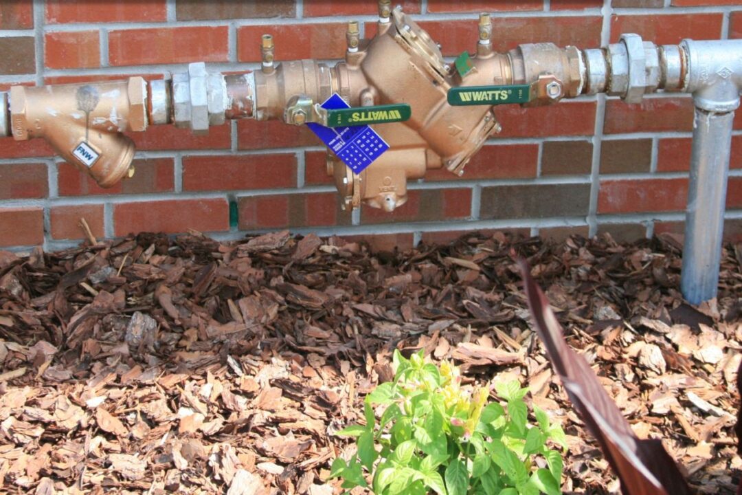 Backflow preventer mounted outside