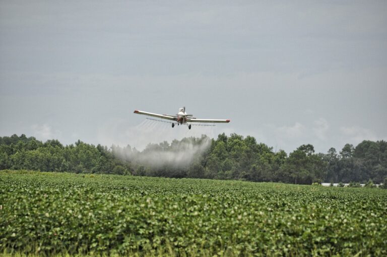 The Environmental Impact of Pesticides in Water