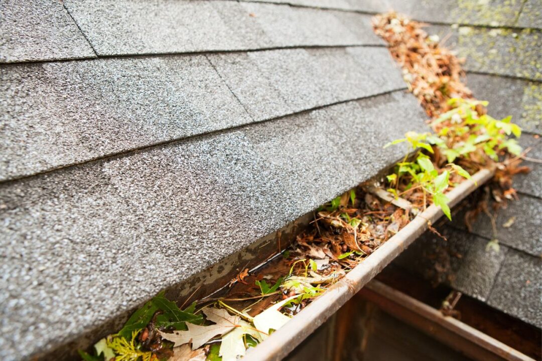 gutters clogged up with leaves