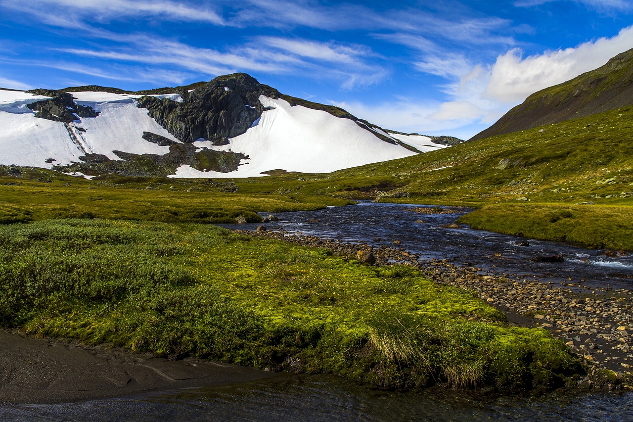 mountain, creek, grass-6231396.jpg