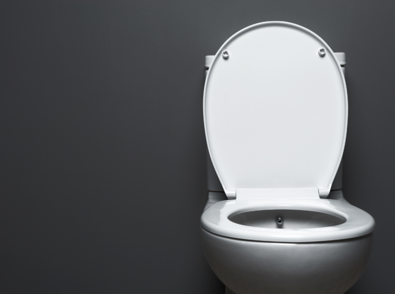 How Does a Composting Toilet Work?