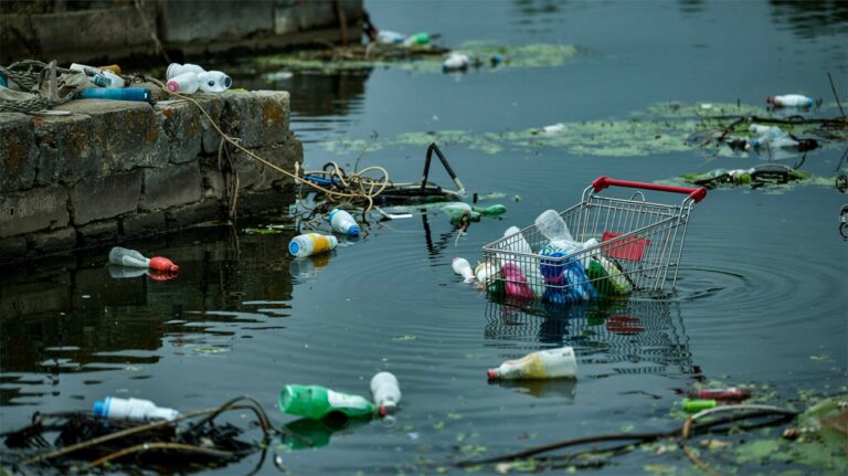 Understanding Microplastics and Their Impact
